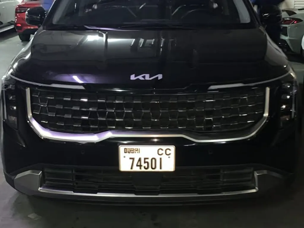KIA Carnival 2025 #1